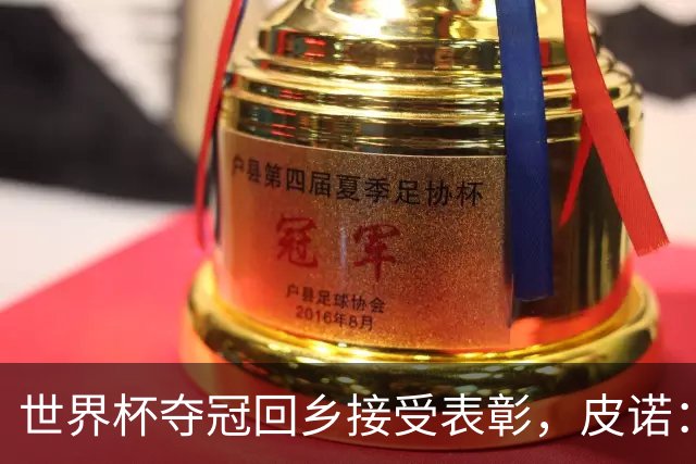 世界杯夺冠回乡接受表彰，皮诺：欧冠是我下一个目标