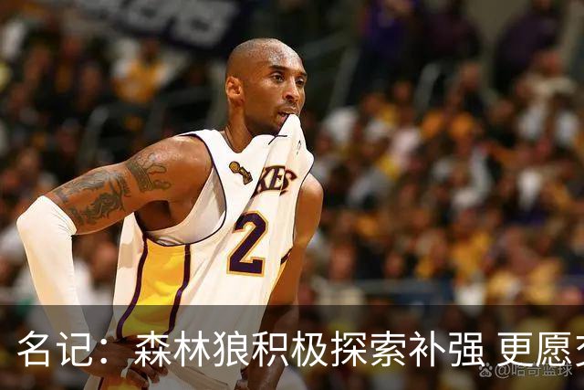 名记：森林狼积极探索补强 更愿交易兰德尔而非麦丹&里德&戈贝尔