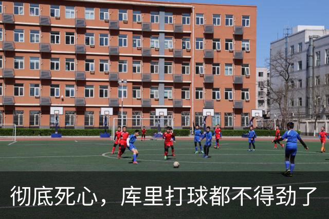 彻底死心，库里打球都不得劲了