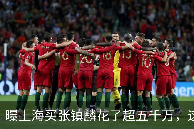 曝上海买张镇麟花了超五千万，这相当于一支球队整个赛季收入！