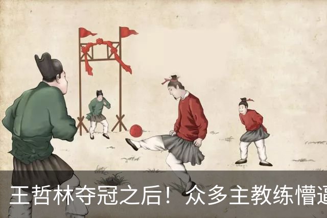 王哲林夺冠之后！众多主教练懵逼，就这个数据跟胡金秋差远了