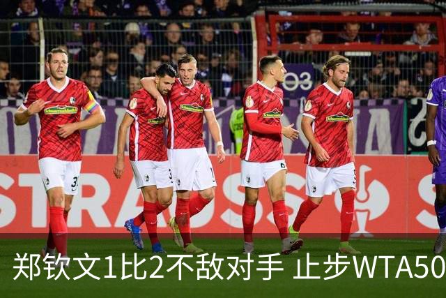 郑钦文1比2不敌对手 止步WTA500华盛顿站首轮